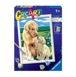 Cumpara ieftin Kit pictura pe numere Ravensburger - Catel cu pui