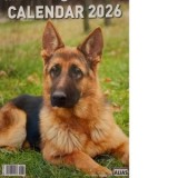 Calendar de perete 12 file. Caini 2026