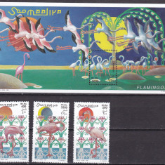 Somalia 1998 fauna pasari flamingo MI 726-728 + bl.56 MNH