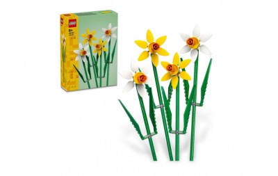 NARCISE, LEGO 40747 foto