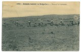2117 - Romanian ARMY in Bulgaria, Romania - old postcard - used - 1919