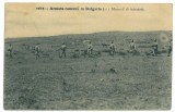 2117 - Romanian ARMY in Bulgaria, Romania - old postcard - used - 1919, Circulata, Printata