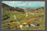 CPIB 19933 CARTE POSTALA - DRUM SPRE RUCAR. PETELE ALBE SUNT EROARE DE TIPARIRE