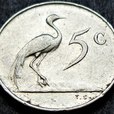 Moneda EXOTICA 5 CENTI - AFRICA DE SUD, anul 1965 * cod 1416 A