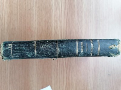 RACHEL ET LE. NOVEAU MONDE. 1856. foto