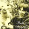 Belle &amp; Sebastian - Dog On Wheels, CD