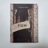 FUM - Boszormenyi Zoltan, Timisoara, ed. Brumar, 2017