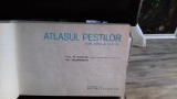ATLASUL PESTILOR DIN APELE R.P.R. - TH. BUSNITA