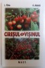 CIRESUL SI VISINUL de L. CHIRA si A. ASANICA , 2010