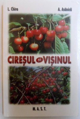 CIRESUL SI VISINUL de L. CHIRA si A. ASANICA , 2010 foto