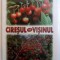 CIRESUL SI VISINUL de L. CHIRA si A. ASANICA , 2010