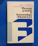 Percepție și morală &icirc;n fenomenologia franceză - Tudor Ghideanu