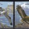 PORTUGALIA 2009 FAUNA PASARI DE PRADA EMISIUNE COMUNA CU IRAN