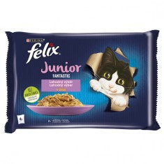 FELIX Junior Fantastic plicule?e, selec?ie delicioasa in gelatina 4 x 85 g foto