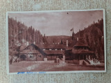 Sinaia - Pavilionul de v&acirc;nătoare., Necirculata, Fotografie