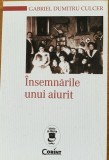 Insemnarile unui aiurit - Gabriel Dumitru Culcer