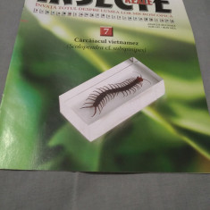 REVISTA INSECTE REALE NR.7 CARCAIACUL VIETMANEZ DOAR REVISTA