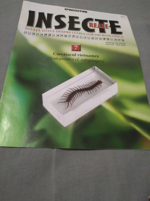 REVISTA INSECTE REALE NR.7 CARCAIACUL VIETMANEZ DOAR REVISTA foto