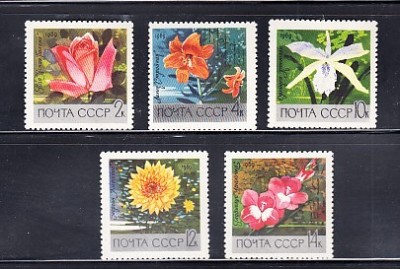A12 S5 7 - Timbre foarte vechi - fosta URSS - flori foto