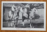 Cumpara ieftin Carte postala hipism ; Grajdul Doctor Serban de Voila , interbelica , cai, Necirculata, Printata