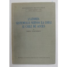 ANATOMIA SISTEMULUI NERVOS LA COBAI SI CAILE DE ACCES