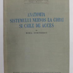 ANATOMIA SISTEMULUI NERVOS LA COBAI SI CAILE DE ACCES de HORIA DUMITRESCU , 1956