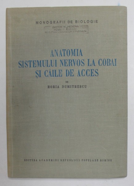 ANATOMIA SISTEMULUI NERVOS LA COBAI SI CAILE DE ACCES