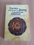 Cumpara ieftin Esenta psihologiei lui Jung si budismul tibetan - Radmila Moacanin