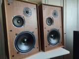 Boxe Celestion Ditton 33