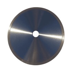 Disc diamantat continuu pentru portelan, ceramica si marmura Troy 27120, O200x22.3 mm