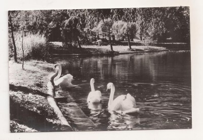 RF67 -Carte Postala- Bucuresti, parcul Libertatii, necirculata foto