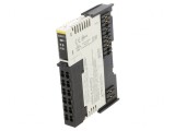 Modul Intrare Analogică 24VDC 4 Canale IP20 ARIO