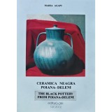 Ceramica neagra poiana Deleni (AN66)