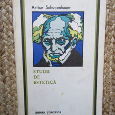 Arthur Schopenhauer - Studii de estetica