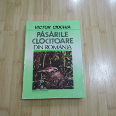 VICTOR CIOCHIA--PASARILE CLOCITOARE DIN ROMANIA - 1992