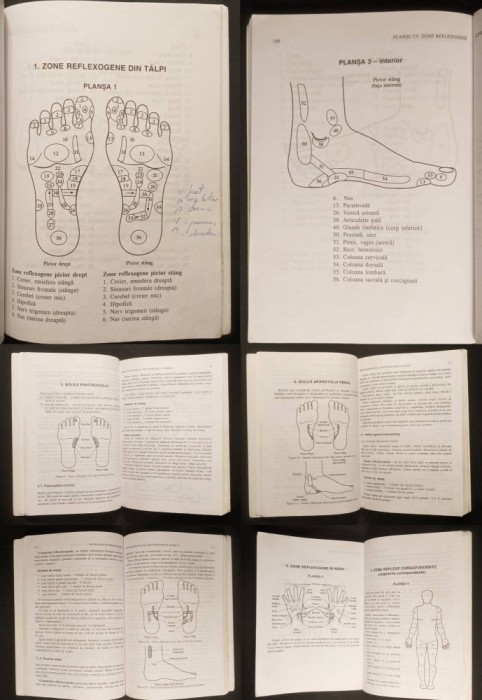 1999 MASAJUL REFLEXOGEN 205 pag ilustrat REFLEXO-TERAPIE Manual Practic Tratamente Boli Terapii alternative Remedii naturiste Stare utilizata adnotari