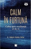 Calm in furtuna. Calea spre rezilienta zi de zi - Robyne Hanley-Dafoe - Niculescu