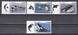 Angola 2019 - Orci, Serie cu Tapsuri, MNH