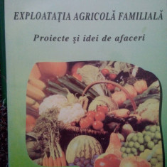 Gheorghe Stanciu - Exploatatia agricola familiala (2001)