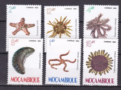 Mozambic 1982 fauna marina MI 913-918 MNH foto