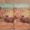MOROMETII-MARIN PREDA (2 VOL)