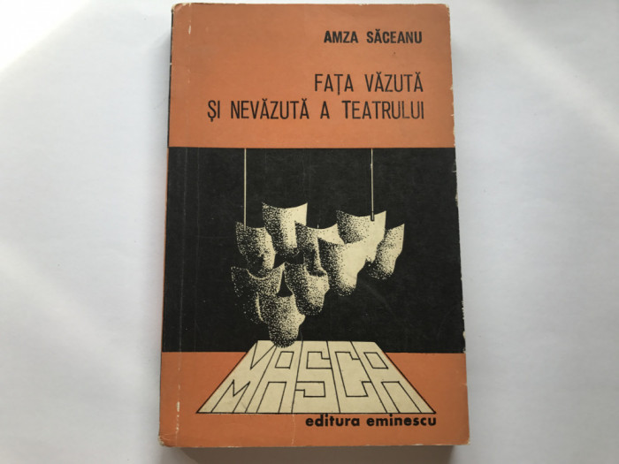 Fata vazuta si nevazuta a teatrului - Amza Saceanu