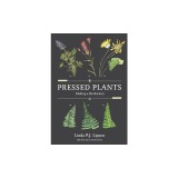 Pressed Plants: Making a Herbarium