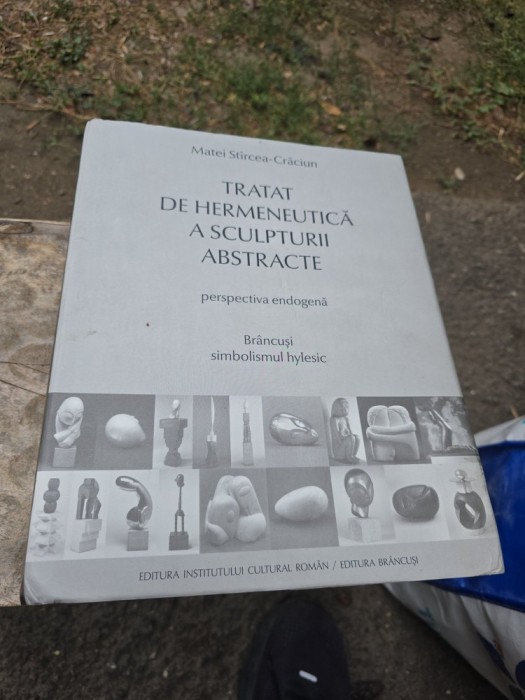 Tratat de hermeneutică a sculpturii abstracte - Matei St&icirc;rcea-Crăciun