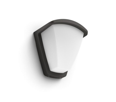 KISKADEE WALL LANTERN ANTHRACITE 1X42W foto