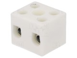 Regletă de Conexiuni cu Șurub 10mm2 450V 57A