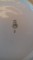 Foto  - 1