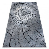 Covor modern COZY 8875 Wood, trunchi de copac - structural două niveluri de l&acirc;nă gri / albastru, 240x330 cm