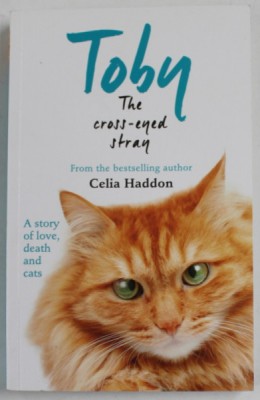 TOBY by CELIA HADDON , 2015 foto