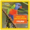 Pasari. Prima mea enciclopedie. National Geographic